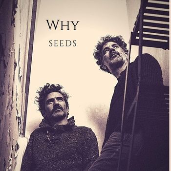 Seeds - Why