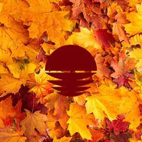 Snoozy - Fall Leaves