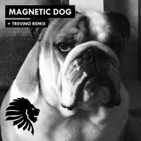 Alan Fitzpatrick - Magnetic Dog