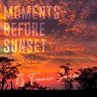 DJ Tannie Swiss - Moments Before Sunset Vol. 1