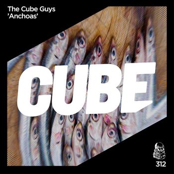 The Cube Guys - Anchoas (303 Edit)