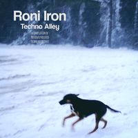 Roni Iron - Techno Alley