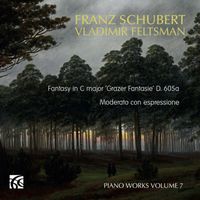 Vladimir Feltsman - Fantasy in C Major, "Grazer Fantasie", D. 605a: Moderato con espressione (Single)