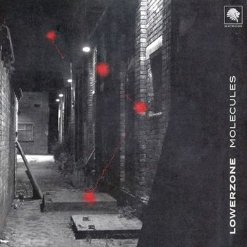 Lowerzone - Molecules