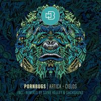 Pornbugs - Cielos / Artica