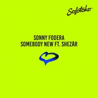 Sonny fodera - Somebody New (feat. ShezAr)