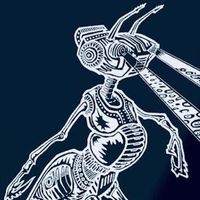 Midirama - Secret Undeground Points BLNV007 Ant's Vision