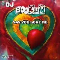 DJ Bookum - Say You Love Me