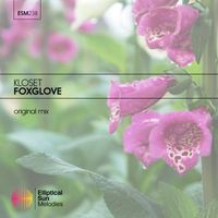 Kloset - Foxglove