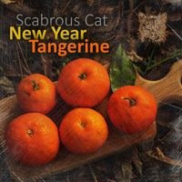 Scabrous Cat - New Year Tangerine