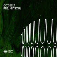 Gosselt - Feel My Soul