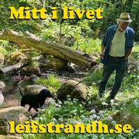 Leif Strandh - Mitt i livet