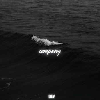 Dev - Company (Explicit)
