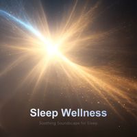 RELAX WORLD - Sleep Wellness -Soothing Soundscape for Sleep-