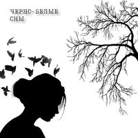 KINGSIZE - Черно-белые сны