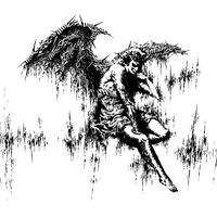 PLUME - Meshes of the Night