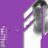Nelman - The Searcher (Part 3)
