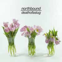 Northbound - Death of a Slug (Explicit)