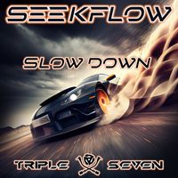 SeekFlow - Slow Down