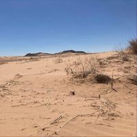 Óscar Errante - Pesimista