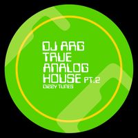 Dj ARG - True Analog House, Pt. 2