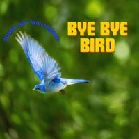 Sonny Boy Williamson - Bye Bye Bird