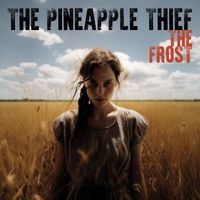 The Pineapple Thief - The Frost