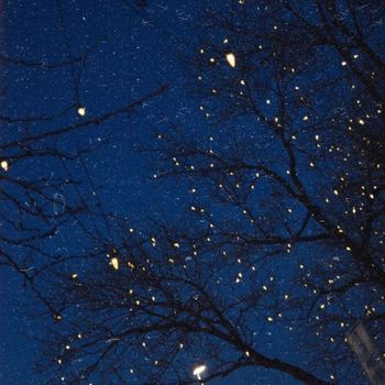tim - Fireflies