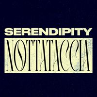 Serendipity - Nottataccia