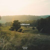 Druid - wildwood