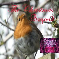 Storgic CODE - The Christmas Beyond