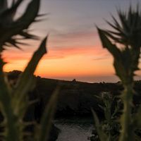 Daniela Mlčúchová - Sunrise Anthem