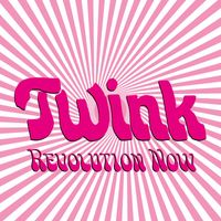 Twink - Revolution Now (Single Edit)