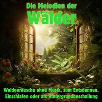 Waldgeräusche - Die Melodien der Wälder - Waldgeräusche ohne Musik, zum Entspannen, Einschlafen oder als Hintergrundbeschallung