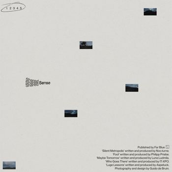 Various Artists - Shared Sense