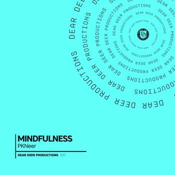 PKNeer - Mindfulness