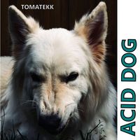 TOMATEKK - Acid Dog