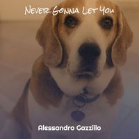 Alessandro Gazzillo - Never Gonna Let You