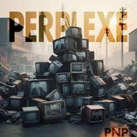 PNP - Perplexe