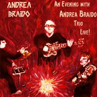 Andrea Braido - An Evening With Andrea Braido Trio Live