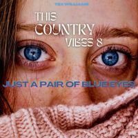 Tex Williams - Just a Pair of Blue Eyes - Tex Williams (This Country Vibes 8)