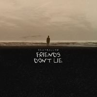 Beatmallow - Friends Don't Lie