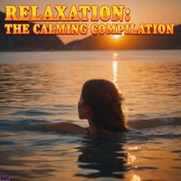 Acoustic Moods Ensemble - Relaxation: The Calming Compilation