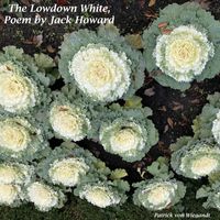 Patrick Von Wiegandt - The Lowdown White, Poem by Jack Howard