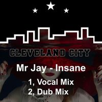 Mr Jay - Insane