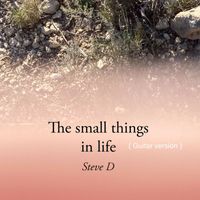Steve D - The small things in life