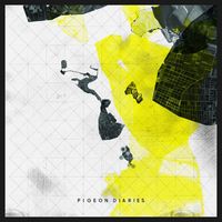 Enablers - Pigeon Diaries