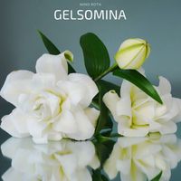 Nino Rota - Gelsomina