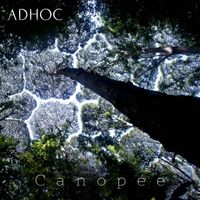 AdHoc - Canopée
