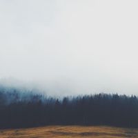 Alivvve - Her Smell
